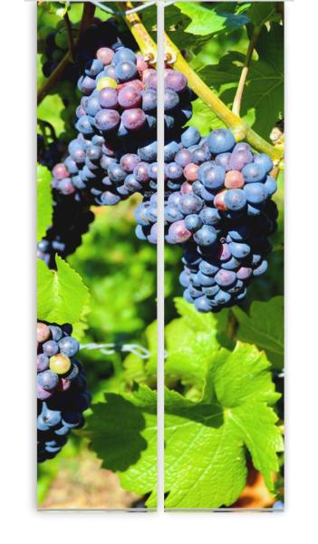 Die Reben, Flächenvorhang 2er Set